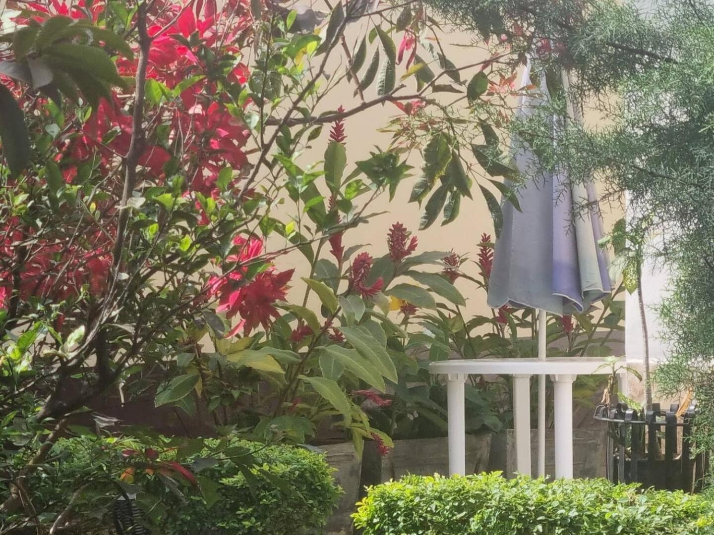 Tout confort avec jardin entrée Bastos Yaoundé Exterior foto