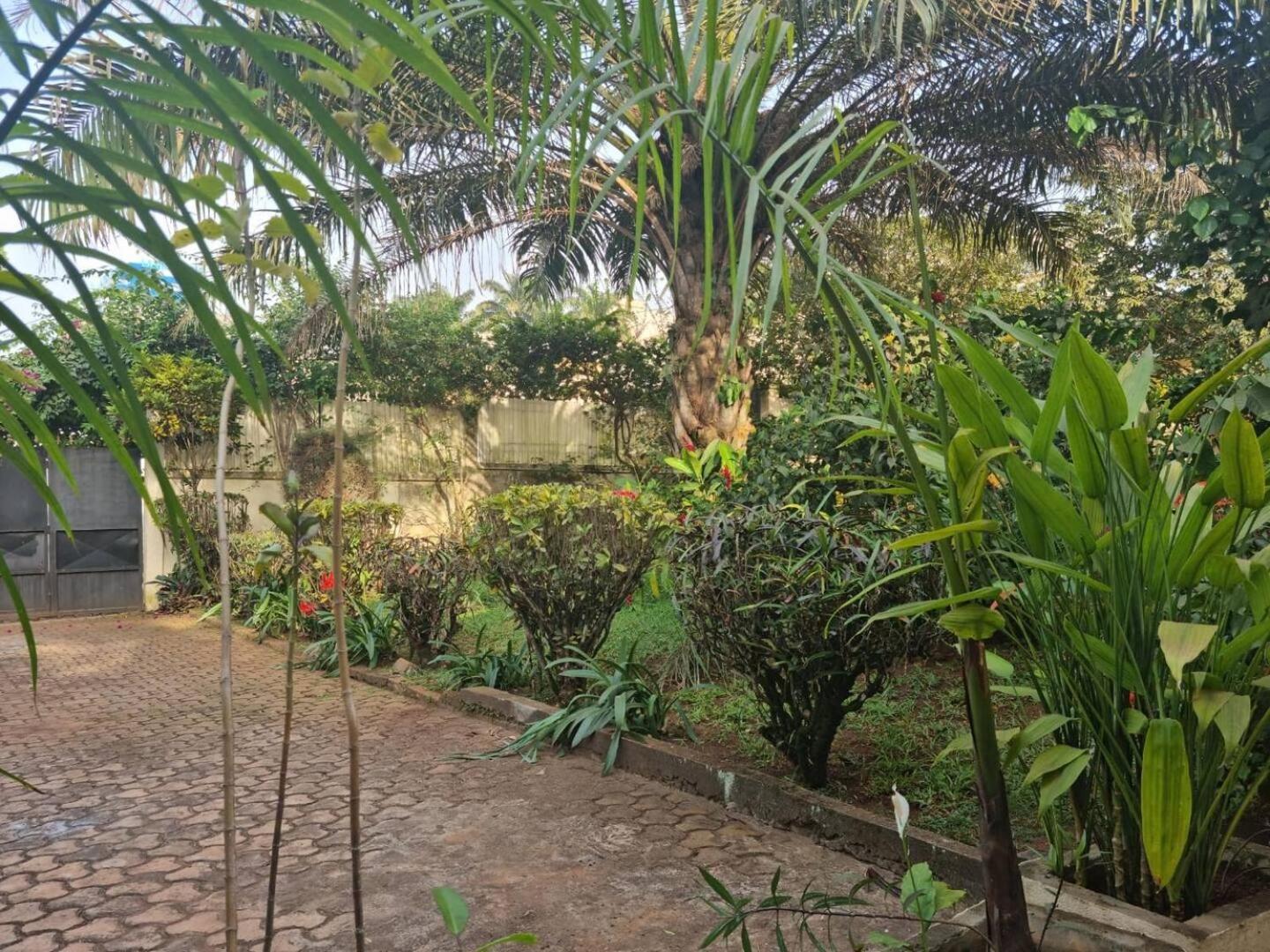 Tout confort avec jardin entrée Bastos Yaoundé Exterior foto