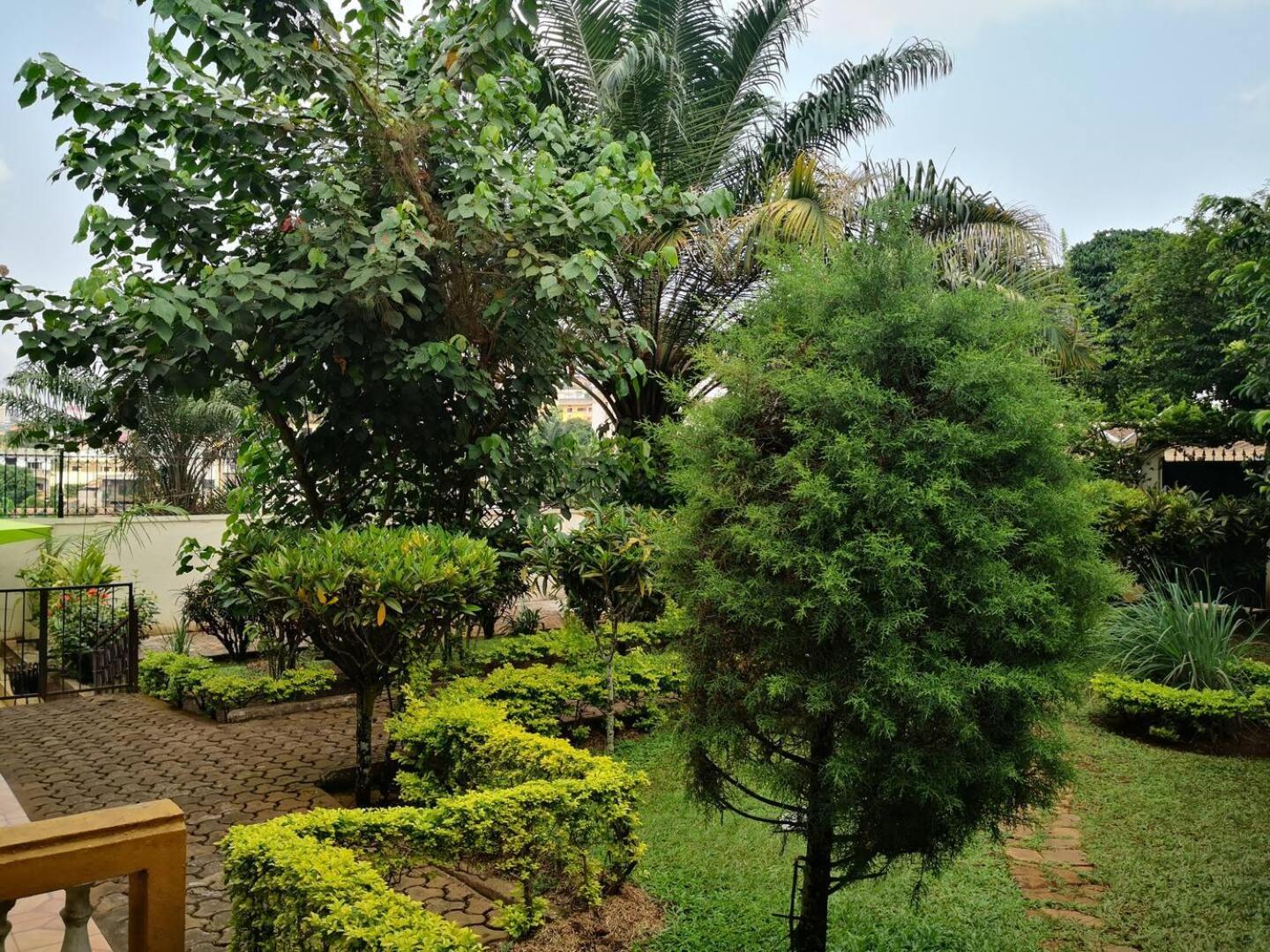 Tout confort avec jardin entrée Bastos Yaoundé Exterior foto